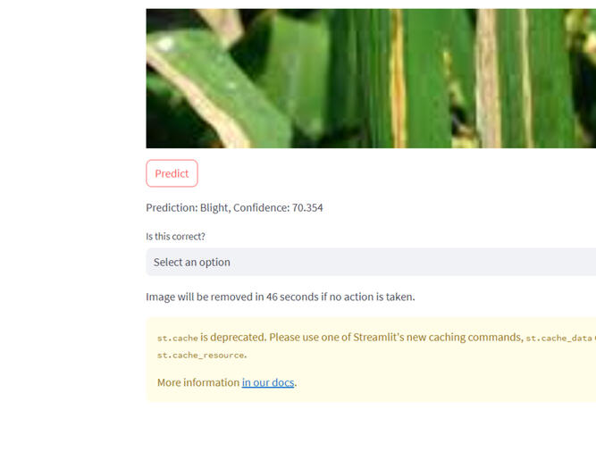 Rice Plant disease classification